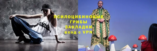 ГАЛЛЮЦИНОГЕННЫЕ ГРИБЫ Бородино